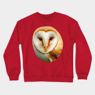 Barn Owl Crewneck Sweatshirt